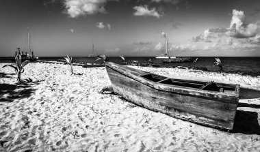 Siyah ve beyaz Karayipler beach Saona Adası, Dominik Cumhuriyeti