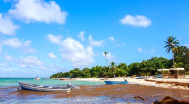 Karayip kumsalda güzel: Saona Island, Dominik Cumhuriyeti