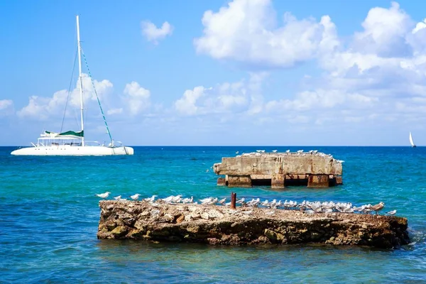 Karayip Denizi Sahne Dominik Cumhuriyeti — Stok fotoğraf