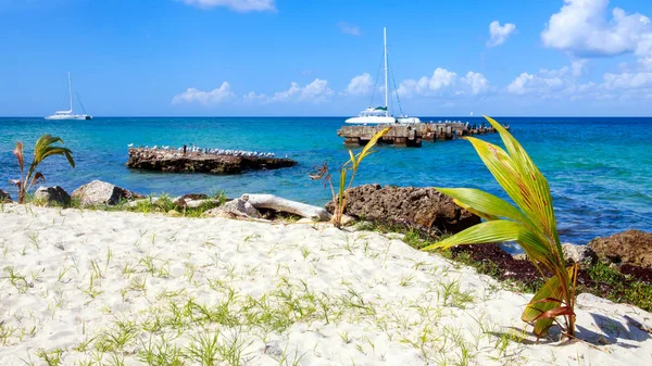 Paisagem Marítima Caribenha República Dominicana — Fotografia de Stock