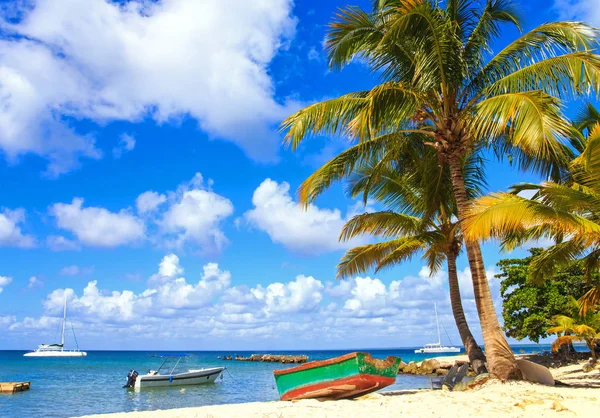 Hermosa Playa Caribeña Isla Saona República Dominicana — Foto de Stock