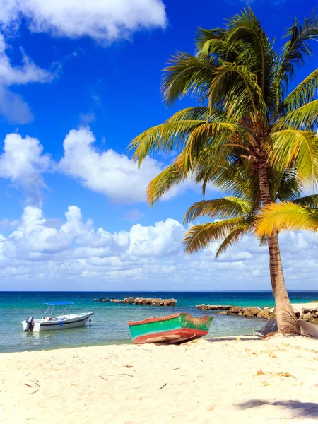 Bella Spiaggia Caraibi Sull Isola Saona Repubblica Dominicana — Foto Stock