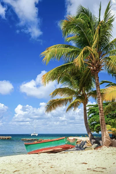 Beautiful Caribbean Beach Saona Island Dominican Republic — Stock Photo, Image