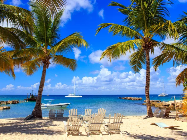 Bella Spiaggia Caraibi Sull Isola Saona Repubblica Dominicana — Foto Stock