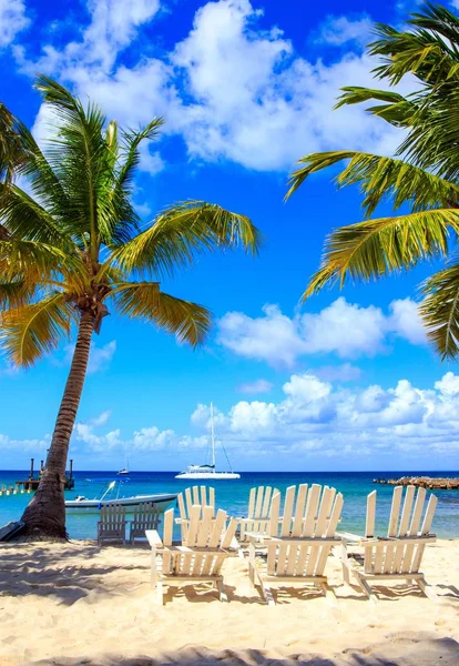 Saona ドミニカ共和国の美しいカリブ海のビーチ — ストック写真