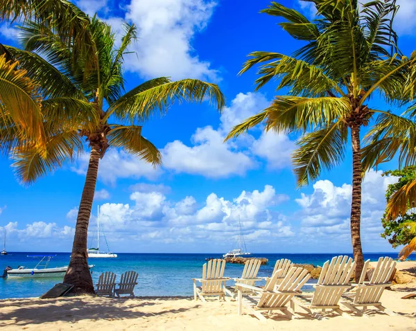 Bella Spiaggia Caraibi Sull Isola Saona Repubblica Dominicana — Foto Stock