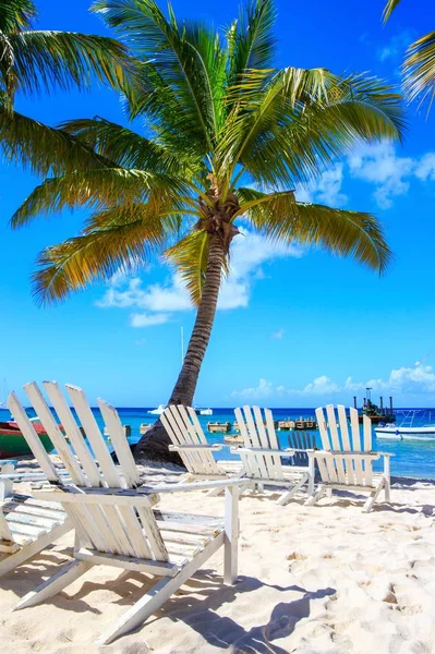 Saona ドミニカ共和国の美しいカリブ海のビーチ — ストック写真