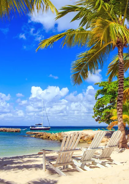 Bela Praia Caribenha Ilha Saona República Dominicana — Fotografia de Stock