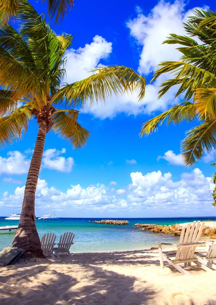 Piękna Karaibska Plaża Wyspie Saona Dominikana — Zdjęcie stockowe