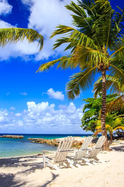 美丽的加勒比海滩上两岛 多米尼加共和国 — 图库照片