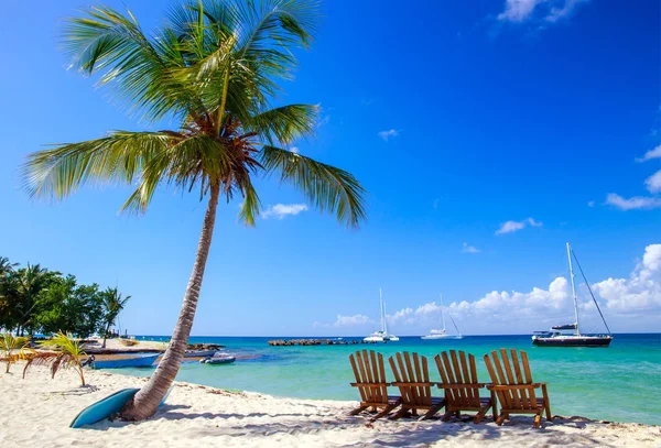 Prachtig Caribisch Strand Saona Island Dominicaanse Republiek — Stockfoto