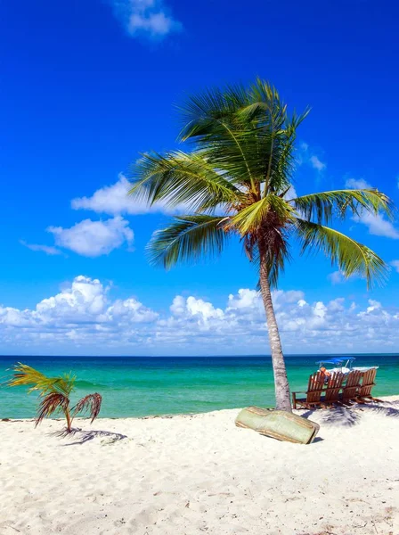 Belle Plage Caribéenne Sur Île Saona République Dominicaine — Photo