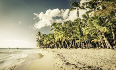 Karayip kumsalda güzel: Saona Island, Dominik Cumhuriyeti