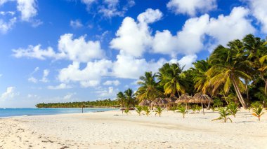 Karayip kumsalda güzel: Saona Island, Dominik Cumhuriyeti
