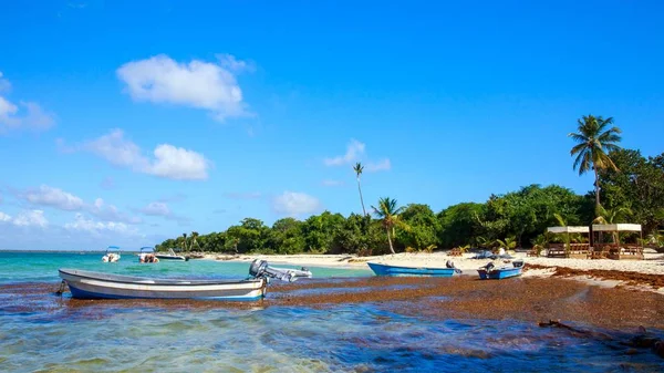 Prachtig Caribisch Strand Saona Island Dominicaanse Republiek — Stockfoto