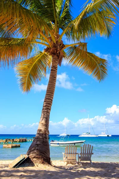 Bella Spiaggia Caraibi Sull Isola Saona Repubblica Dominicana — Foto Stock