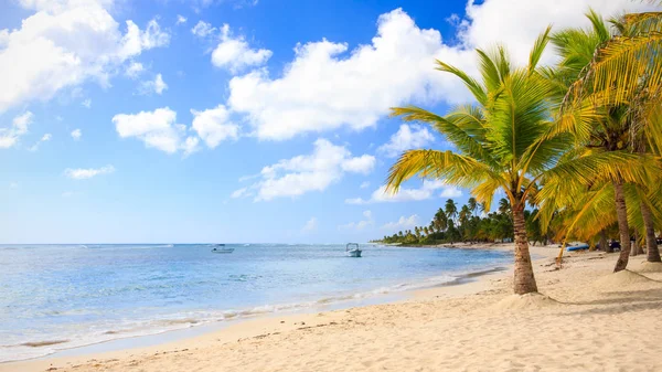 Bella Spiaggia Caraibi Sull Isola Saona Repubblica Dominicana — Foto Stock