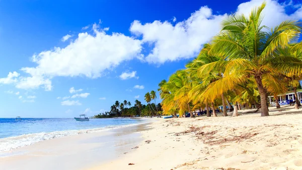 Hermosa Playa Caribeña Isla Saona República Dominicana — Foto de Stock