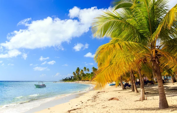 Gyönyörű Karibi Tengerpart Saona Sziget Dominikai Köztársaság — Stock Fotó