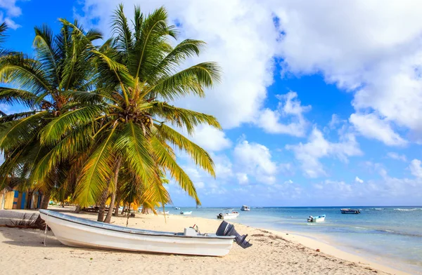 Hermosa Playa Caribeña Isla Saona República Dominicana — Foto de Stock