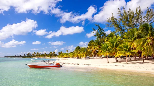 Bella Spiaggia Caraibi Sull Isola Saona Repubblica Dominicana — Foto Stock