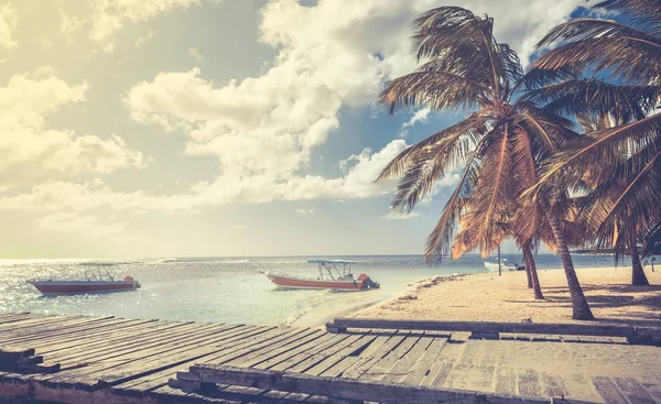 Hermosa Playa Caribeña Isla Saona República Dominicana —  Fotos de Stock