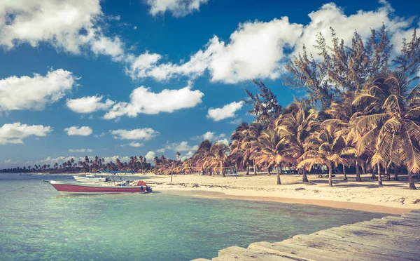 Hermosa Playa Caribeña Isla Saona República Dominicana —  Fotos de Stock