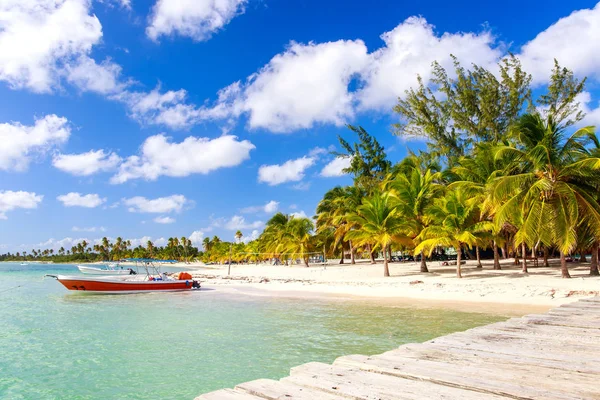 Hermosa Playa Caribeña Isla Saona República Dominicana — Foto de Stock