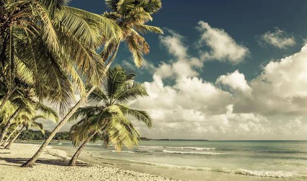 Piękne Beachand Karaiby Morza Dominikana — Zdjęcie stockowe