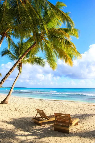 美丽的加勒比海滩上两岛 多米尼加共和国 — 图库照片