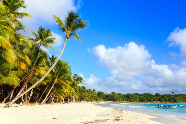 Όμορφη Καραϊβική Παραλία Στην Σαόνα Δομινικανή Δημοκρατία — Φωτογραφία Αρχείου