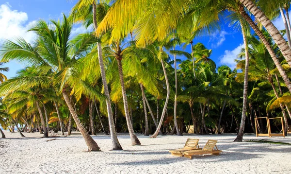Карибский Песчаный Пляж Острове Саона Доминиканская Республика — стоковое фото