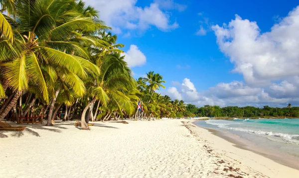 Όμορφη Καραϊβική Παραλία Στην Σαόνα Δομινικανή Δημοκρατία — Φωτογραφία Αρχείου