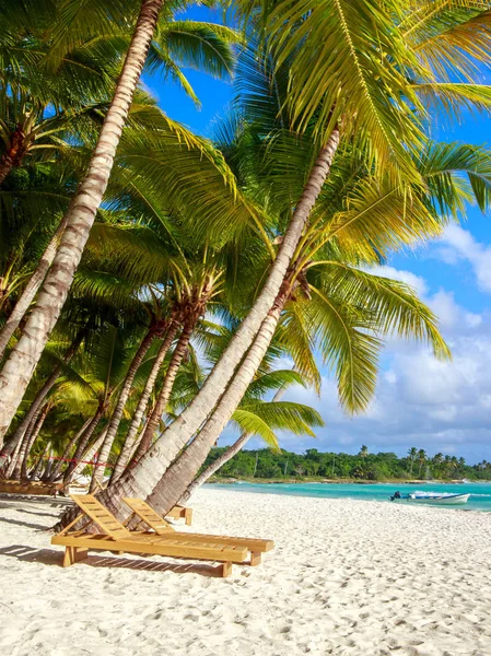 Beautiful Caribbean Beach Saona Island Dominican Republic — Stock Photo, Image