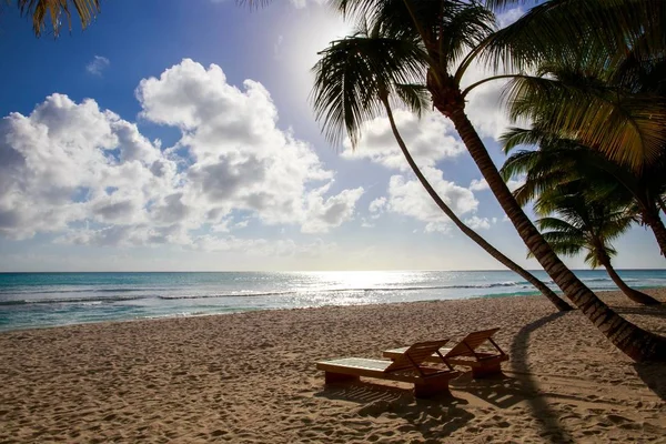 Belle Plage Caribéenne Sur Île Saona République Dominicaine — Photo