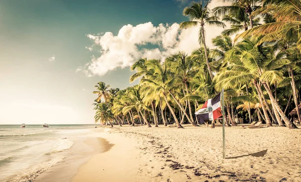 Caribbean Beach Dominican Republic Flag Saona Island — Stock Photo, Image