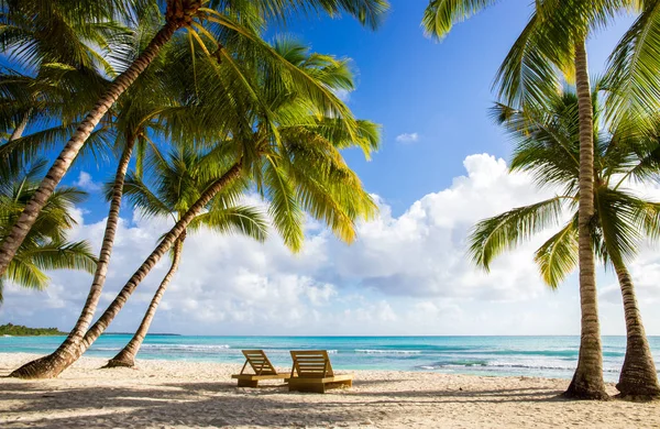 Vackra Karibiska Stranden Saona Dominikanska Republiken Stockbild