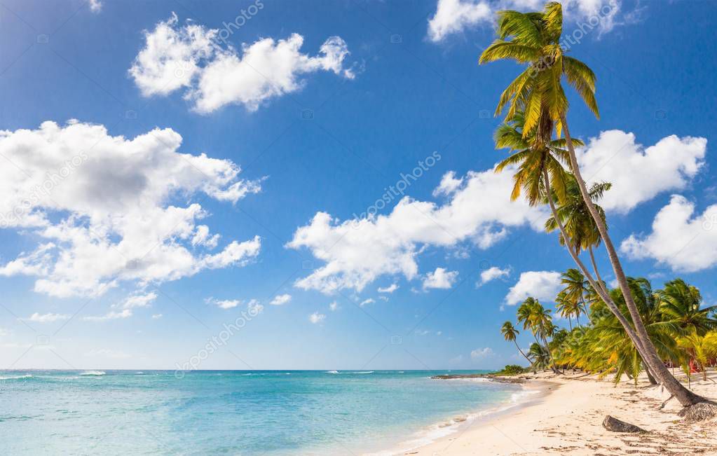 Beautiful caribbean beach on Saona island, Dominican Republic