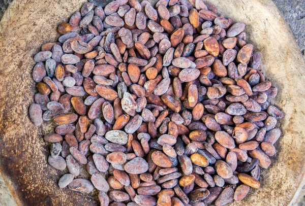 Boabe Proaspete Cacao Closeup — Fotografie, imagine de stoc