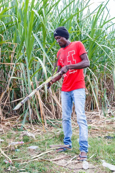 多米尼加共和国 2014年11月19日 在多米尼加共和国从事甘蔗种植工作的海地人肖像 — 图库照片