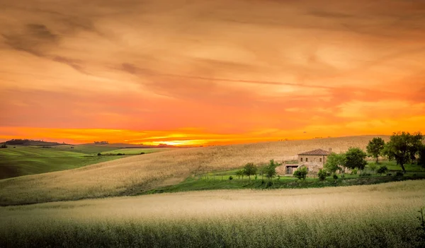 Gouden Zonsondergang Toscane Landschap Van Het Platteland — Stockfoto