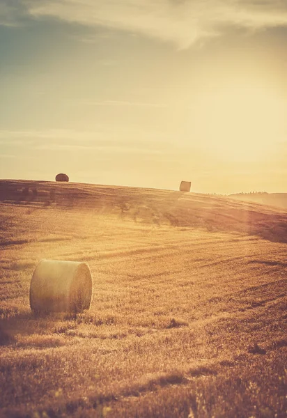 Paesaggio Rurale Toscana Con Tramonto Dorato Sullo Sfondo — Foto Stock