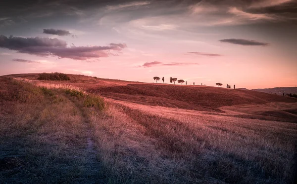 Increíble Paisaje Toscano Con Árboles Una Colina — Foto de Stock