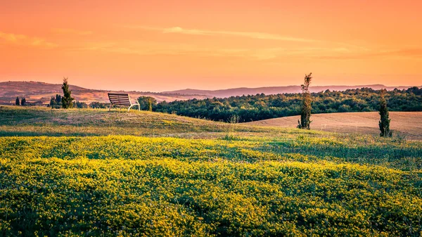 Bellissimo Paesaggio Tramonto Con Panchina Solitaria Sullo Sfondo — Foto Stock