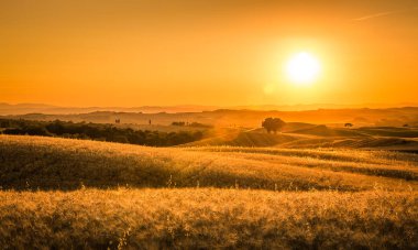Toskana İtalya alanlarında üzerinde altın günbatımı