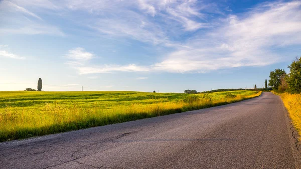 Tuscan Morning Landscape Green Meadow Empty Road — Stock Photo, Image