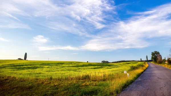 Tuscan Morning Landscape Green Meadow Empty Road — Stock Photo, Image