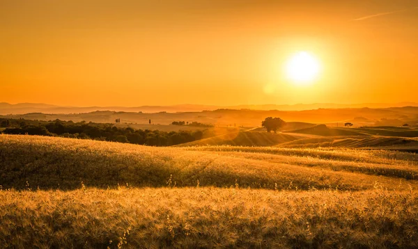 Gyllene Solnedgång Över Toskanska Fält Italien — Stockfoto