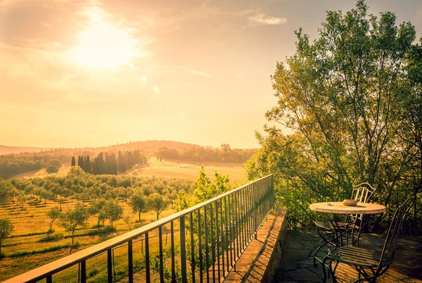 Zonlicht Olijf Veld Toscane Met Een Tabel Een Terras Voorgrond — Stockfoto
