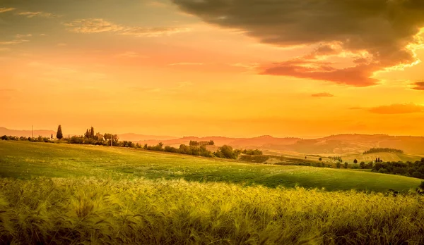 Upea Auringonlasku Kaunis Taivas Toscanassa Italia — kuvapankkivalokuva